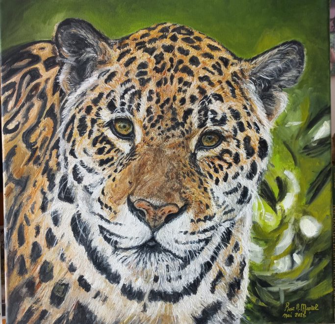Jaguar (n°79)