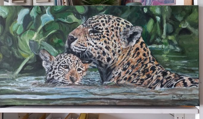 Jaguar (n°78)