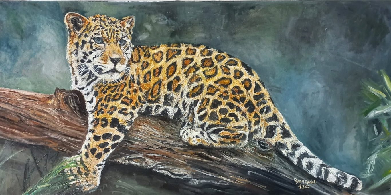 Jaguar dans le fleuve de l 'Orénoque au couché de soleil