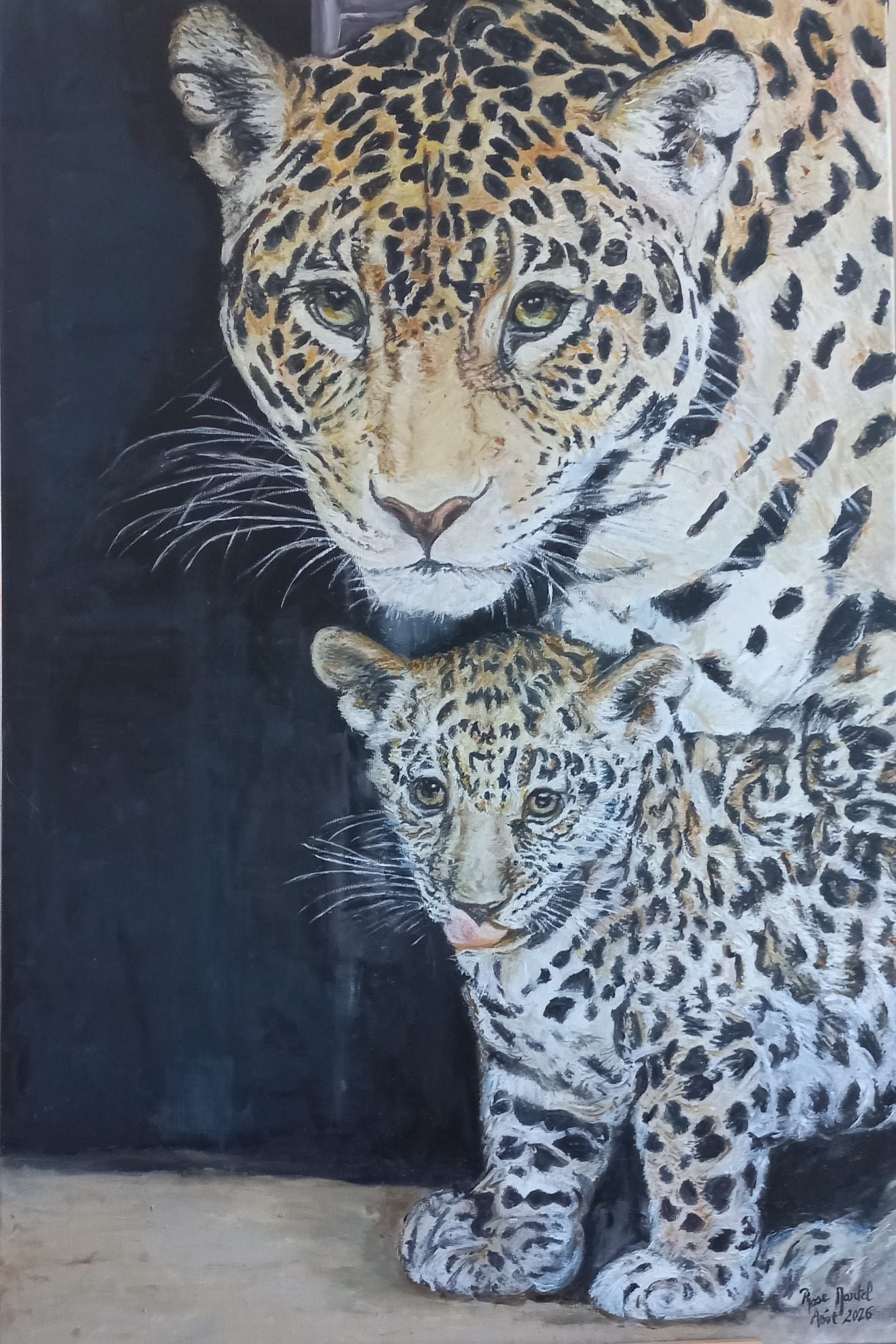 Jaguar dans le fleuve de l 'Orénoque au couché de soleil